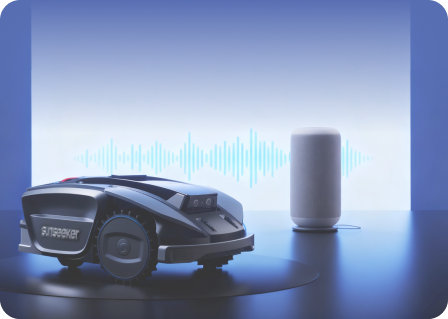 „Alexa“ / „Google Assistant“