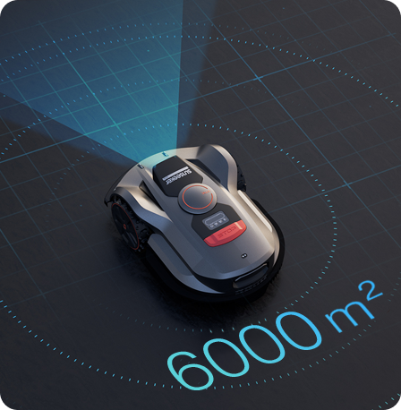 Pjovimo Plotas iki 6000 ㎡